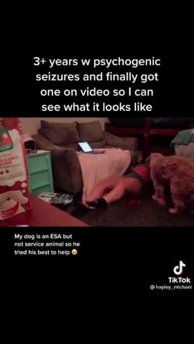 This is completely fake, right?