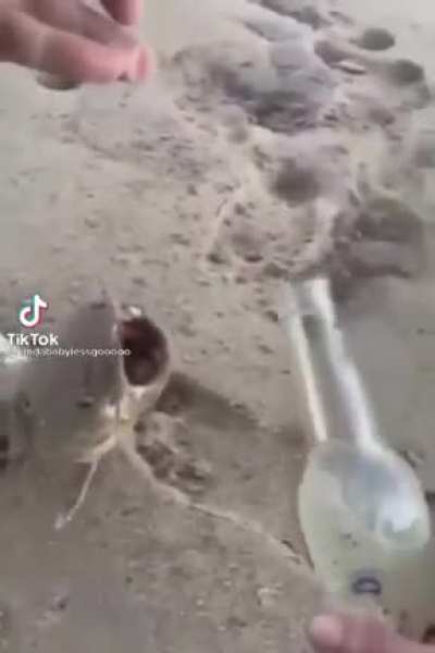 R&ugrave;l&euml;