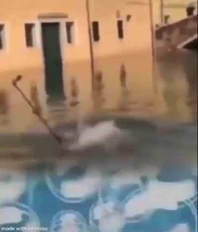 Let me just go and quickly visit SpongeBob
