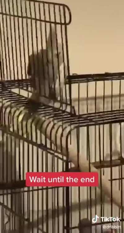 You&rsquo;re gonna fall!