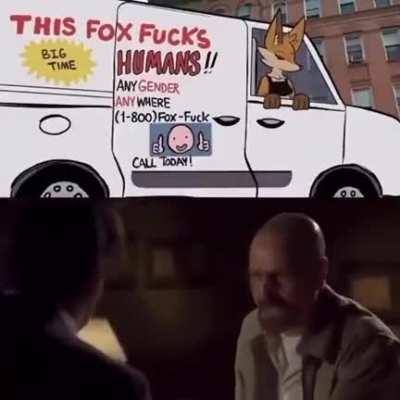 Furry_irl
