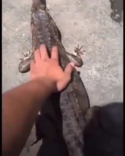 hi