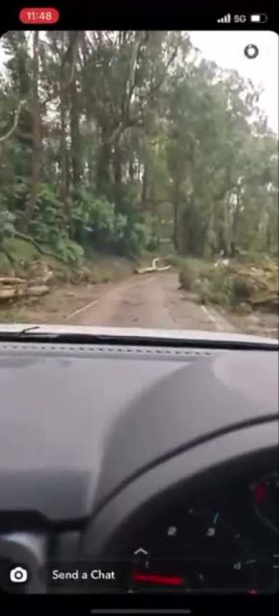 Mount Dandy tourist Rd Kalorama Thursday 10:30am