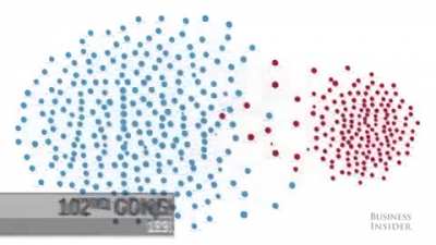 U.S. Congressional Divide