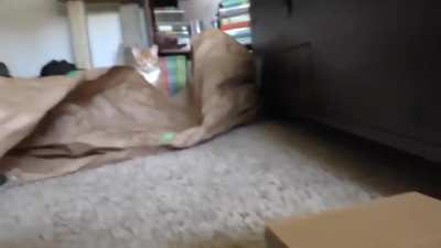 Oh, someone is watching...