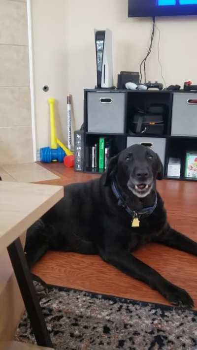 Theo Likes To Sing To Billy Joel
