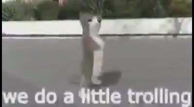 Little trolling.