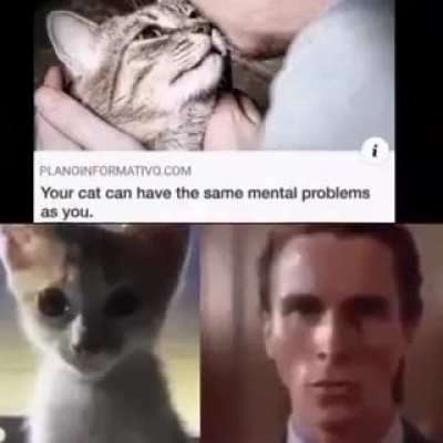 sorry bro