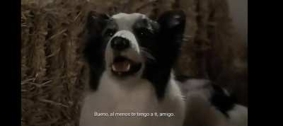 Q wen doblaje
