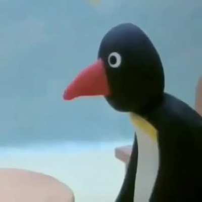 NOOT NOOT