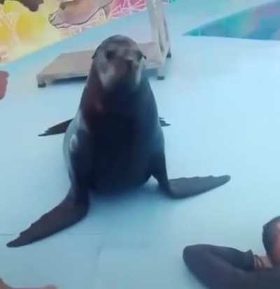 Aten&ccedil;&atilde;o se vc ver esses meliantes denuncie pra policia