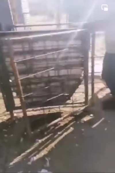 South African looters stealing sheep and chickens during ongoing protests