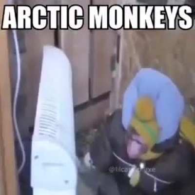 Monkis articos (bajenle un poco el volumen)