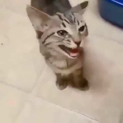 He was hungry