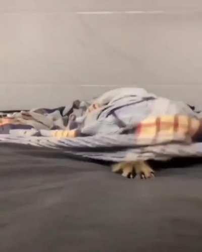 Hey I'm in here