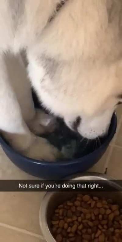 The good old &lsquo;Both Feet in the Bowl&rsquo; tactic