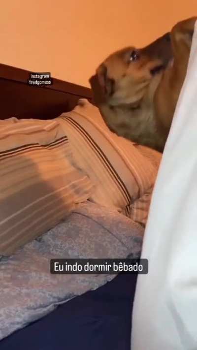 Quem nunca ?