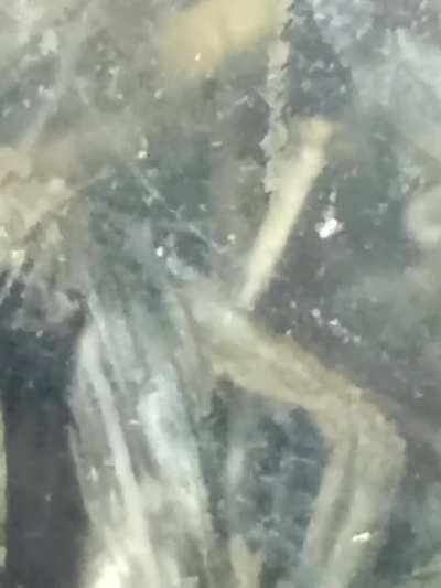 Can anyone identify It?