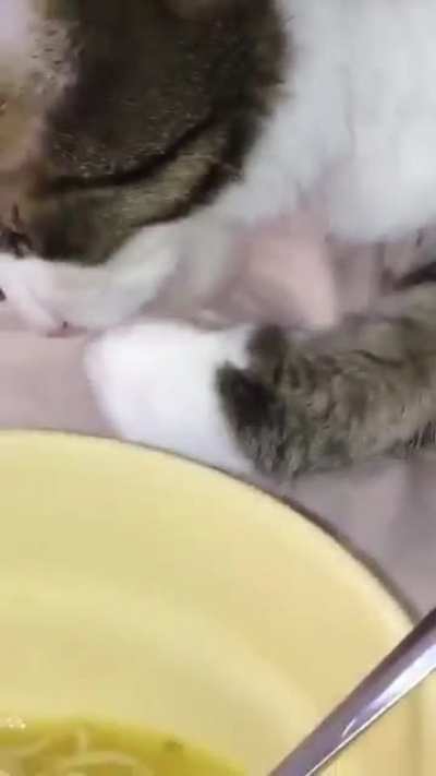 fofo