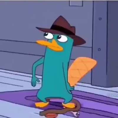 The spy