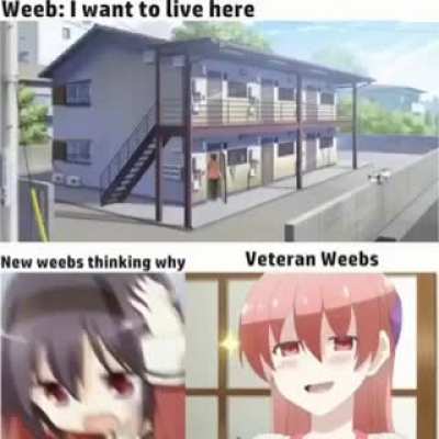 animemes be like