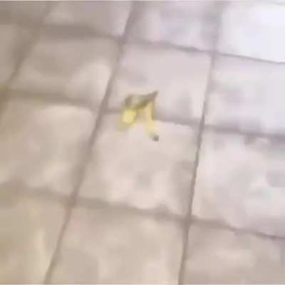 banana