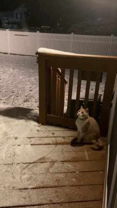 I think it&rsquo;s his first time seeing snow...and he seems to enjoy it.