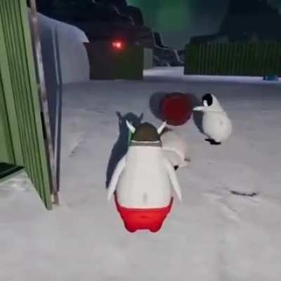 Penguins Being Penguins 7