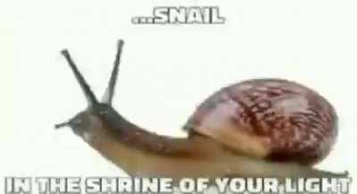 Snurch