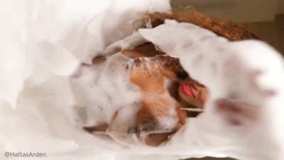 Lumena