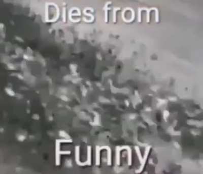 Too much funni