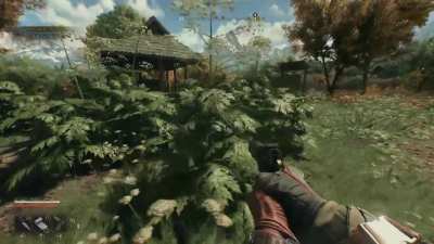 Dying Light The Beast: Giant hogweed is a real plant that&rsquo;s sap causes painful burns