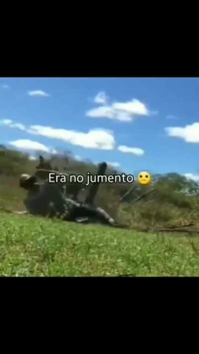 lapada maldita
