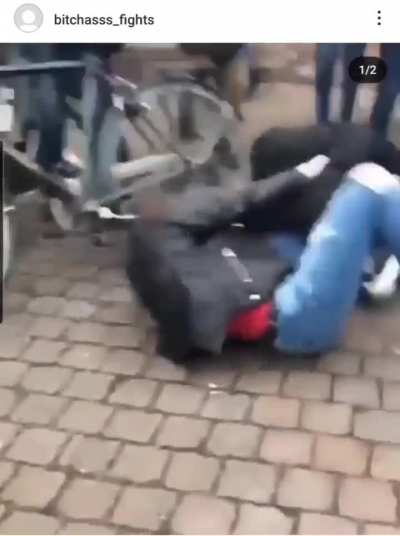 Dutch Catfight