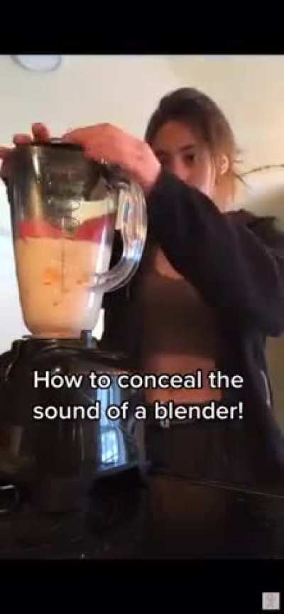 best way to conceal the loud blender sound