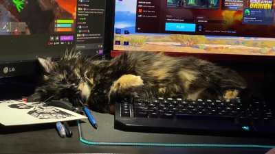Someone&rsquo;s having quite the dream.