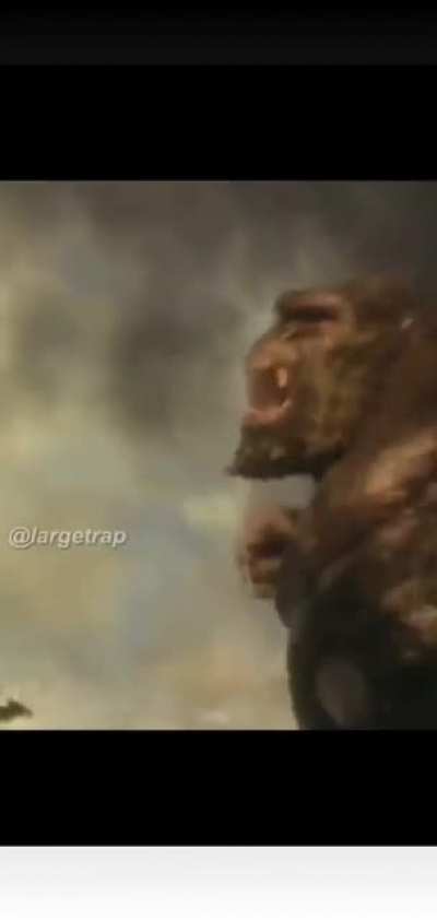 Godzilla vs kong