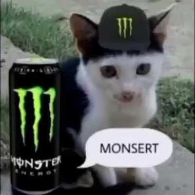 Which soda do you prefer caw caw?????????