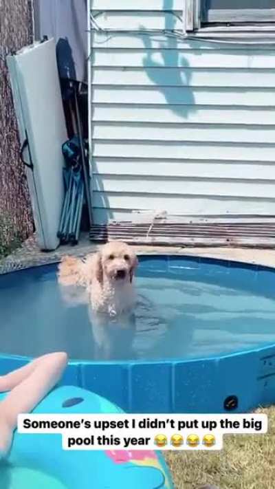 During COVID last year, I had a big Intex pool for the doggos but since I phased back into the office I realized I wouldn&rsquo;t have much time so I had to downgrade. Clearly my boys are not happy 🥲