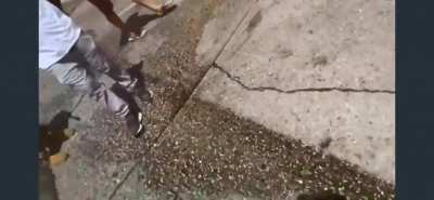 Right wing streamer bear sprayed by proud boys while trying to explain he is on their side