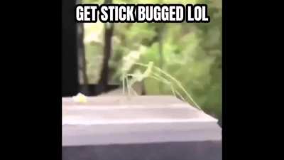 LOL