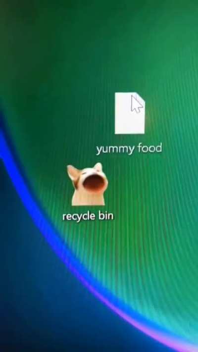 cat bin