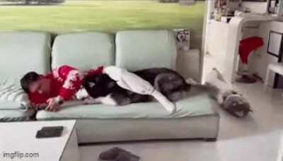 Awww