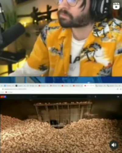 An interesting title