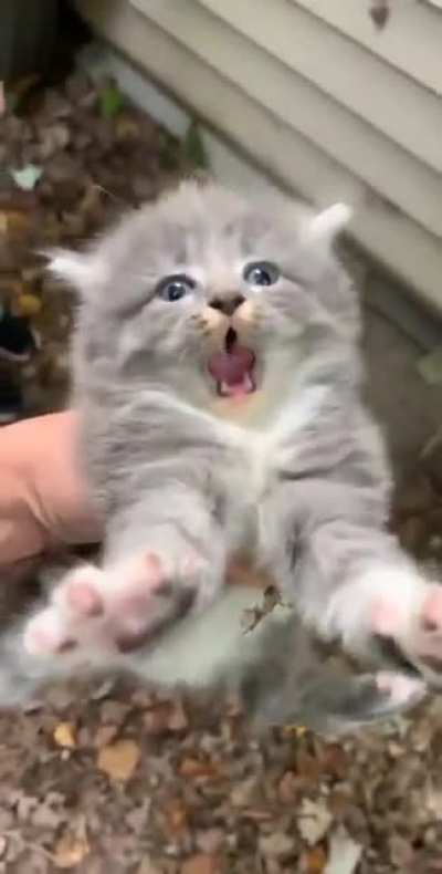 hes not happy ):&amp;lt;