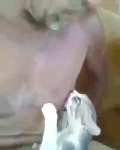 isso q &eacute; um pai presente