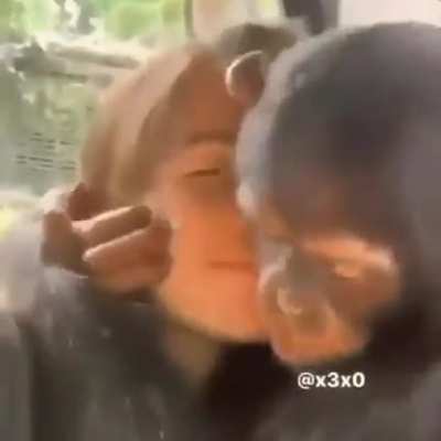 me🐵irl