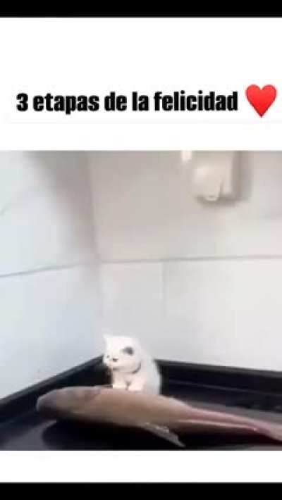 Que bonito 😍😍
