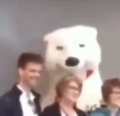 Furry🐻&zwj;❄️irl