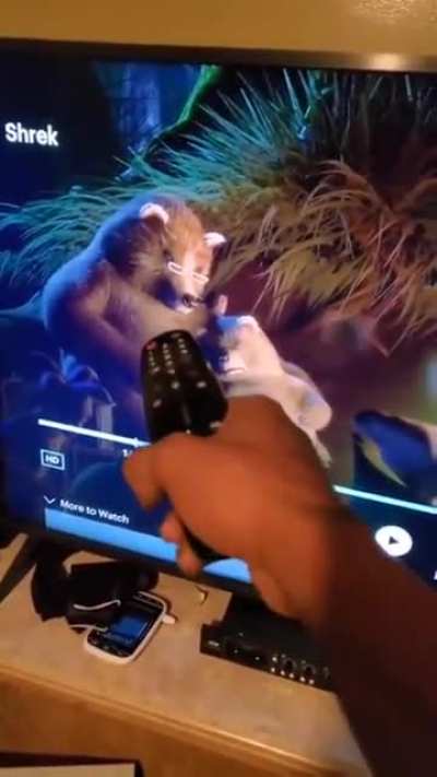 Где же мама медведь? Или Добрые детские мультики.
